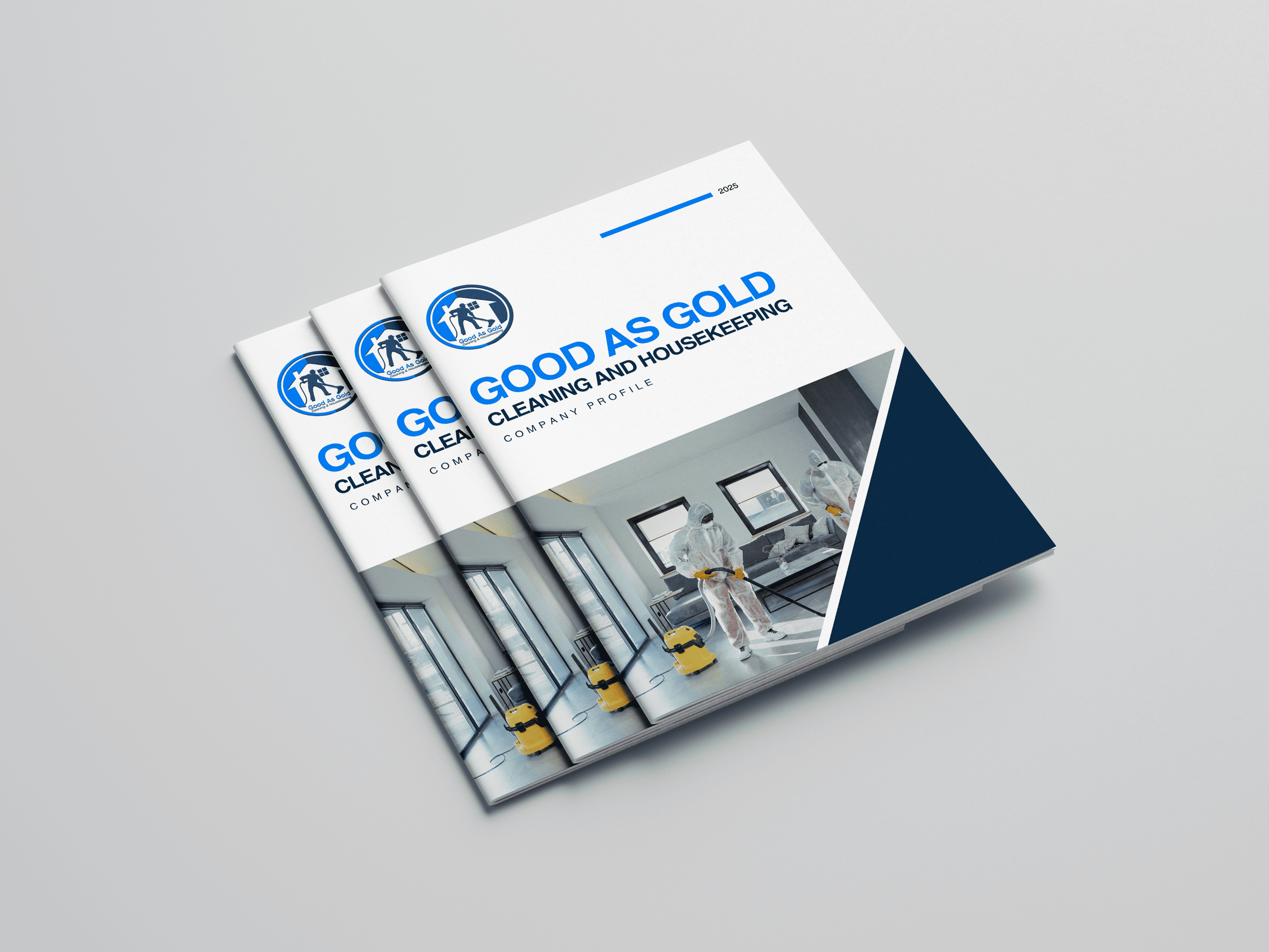 Professional Company Profiles