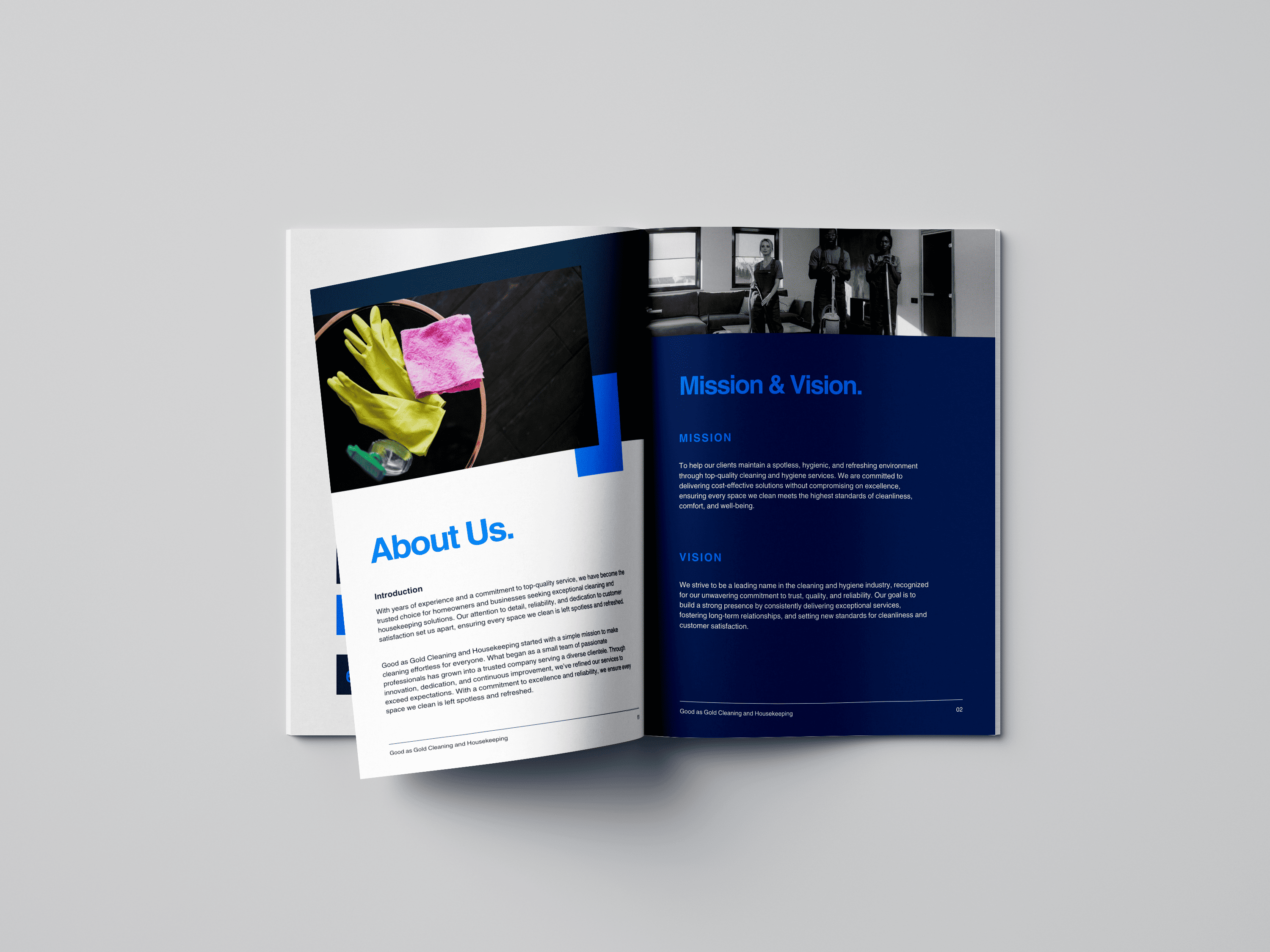 Professional Company Profiles